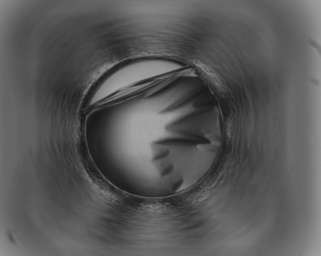 X0000090990540200708241428