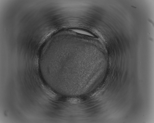 X0000090990542200708241428