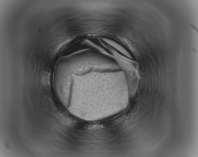 X0000090990543200708241428