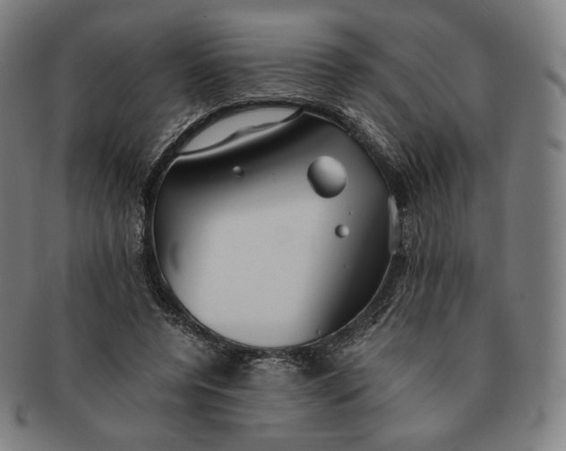 X0000090990544200708241428