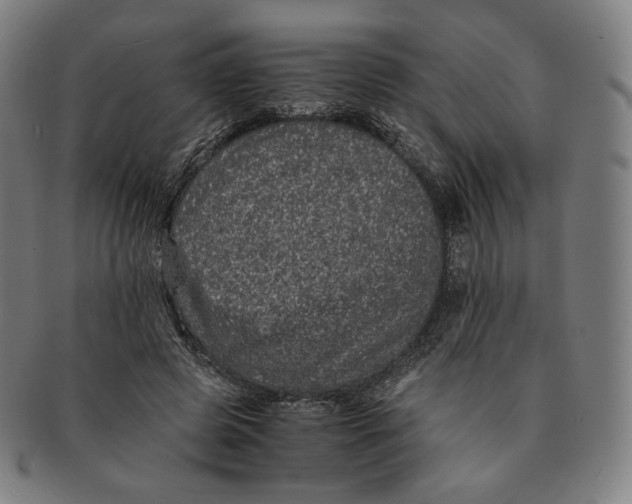 X0000090990545200708241428