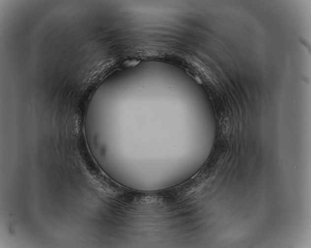 X0000090990546200708241429