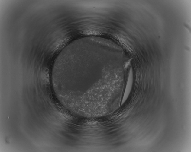 X0000090990547200708241429