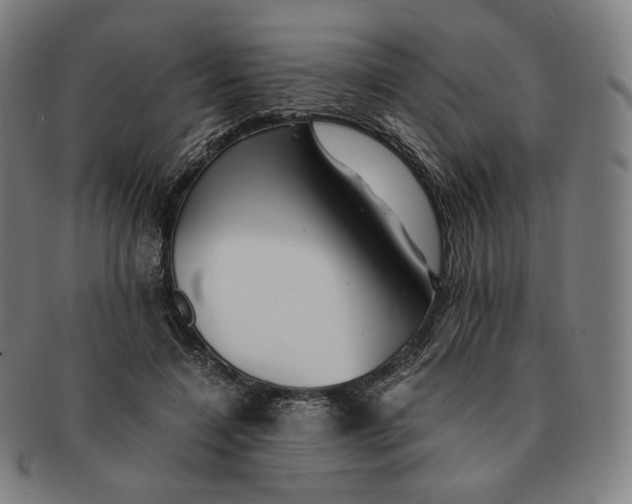 X0000090990548200708241429