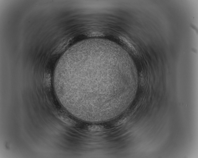 X0000090990549200708241429