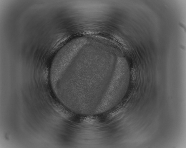 X0000090990550200708241429