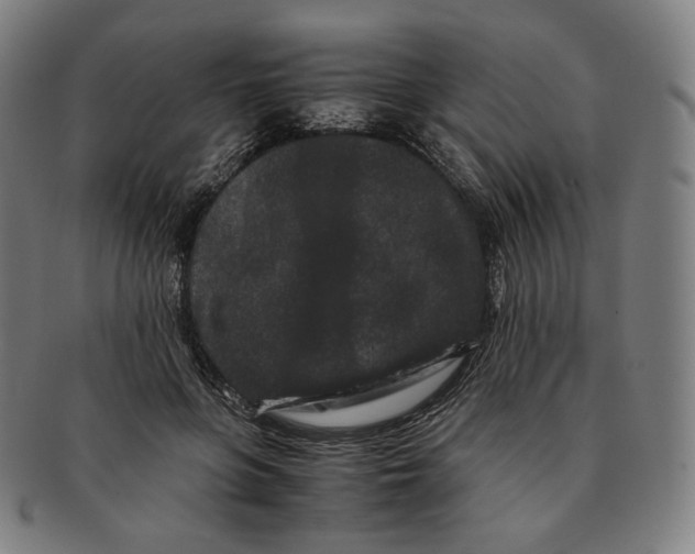 X0000090990551200708241429