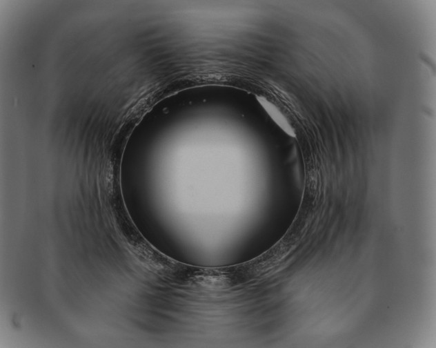 X0000090990552200708241429