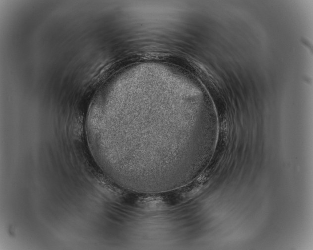 X0000090990554200708241429