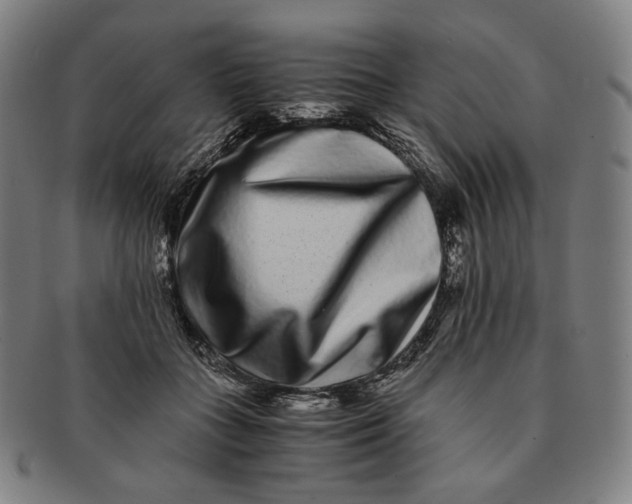 X0000090990555200708241429