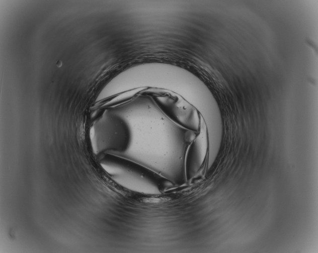 X0000090990558200708241429