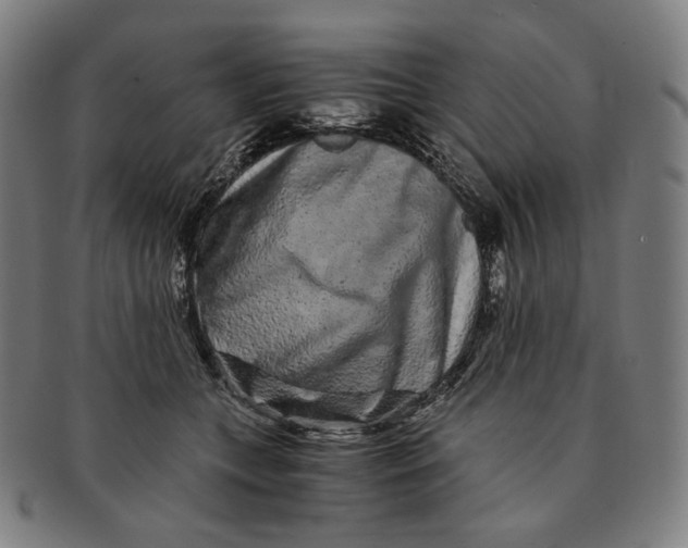 X0000090990559200708241429