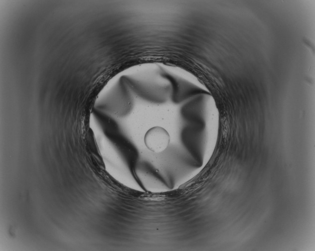 X0000090990560200708241429