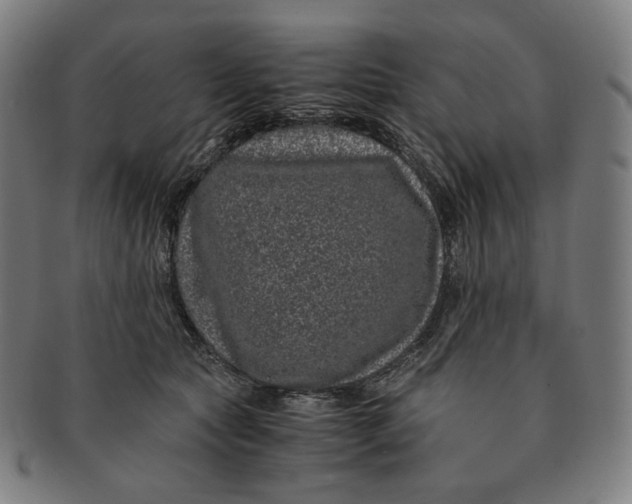 X0000090990561200708241429