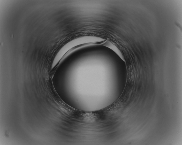 X0000090990562200708241429