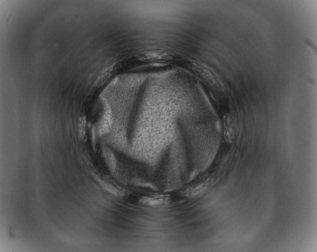 X0000090990563200708241429