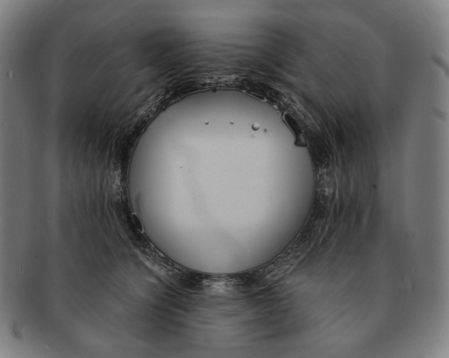 X0000090990564200708241429