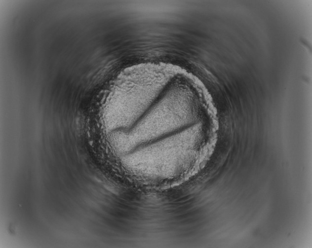 X0000090990565200708241429