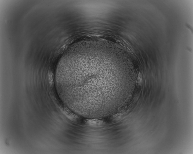 X0000090990568200708241429