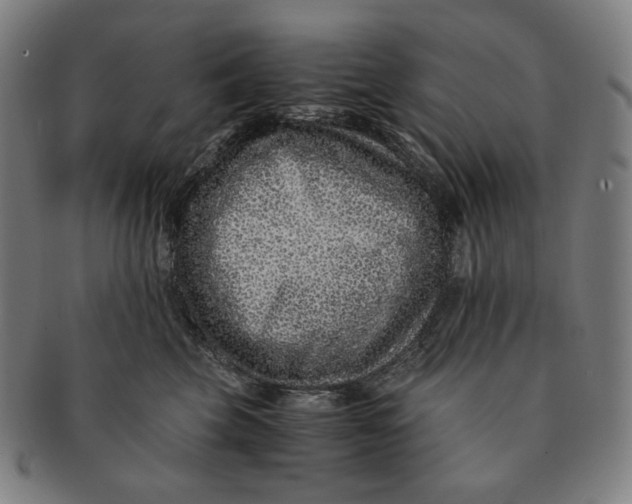 X0000090990569200708241429