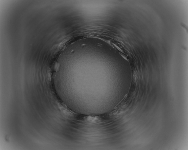 X0000090990570200708241429