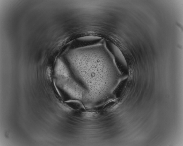 X0000090990575200708241429