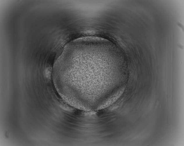 X0000090990576200708241429