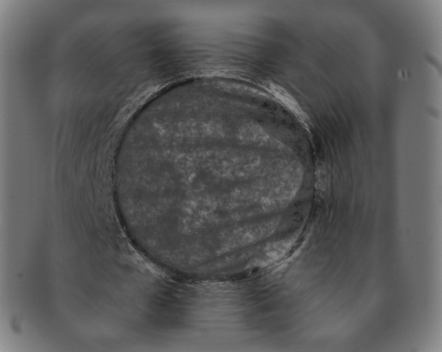 X0000090990577200708241428