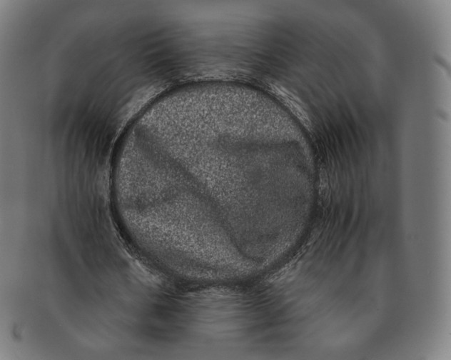 X0000090990578200708241428