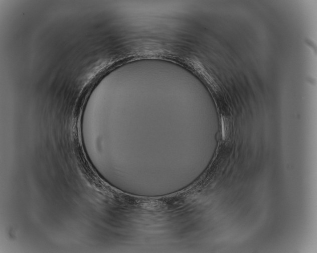 X0000090990579200708241428