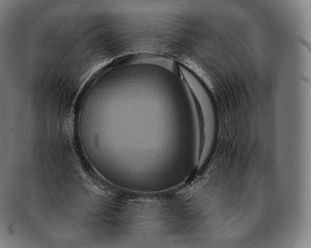 X0000090990580200708241428