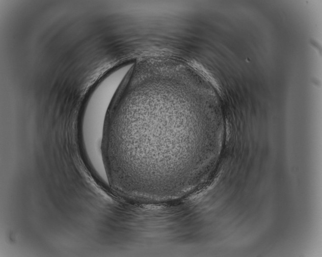 X0000090990581200708241428