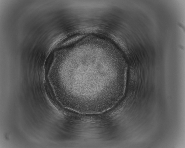 X0000090990582200708241428