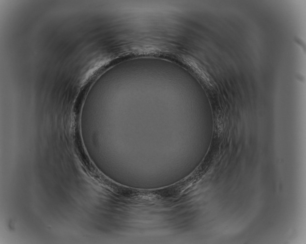 X0000090990583200708241428