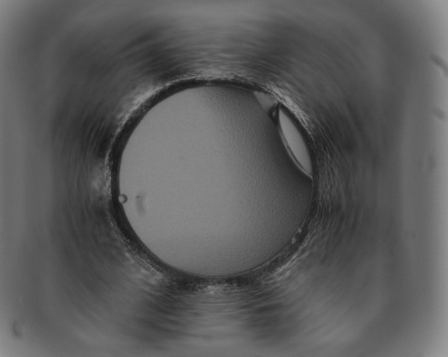 X0000090990584200708241428