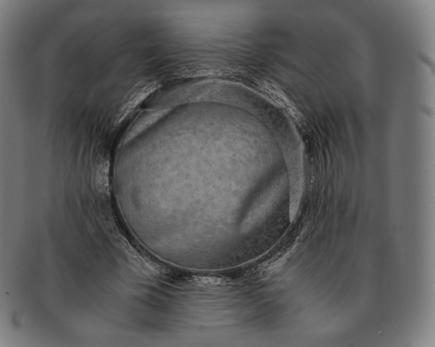 X0000090990585200708241428