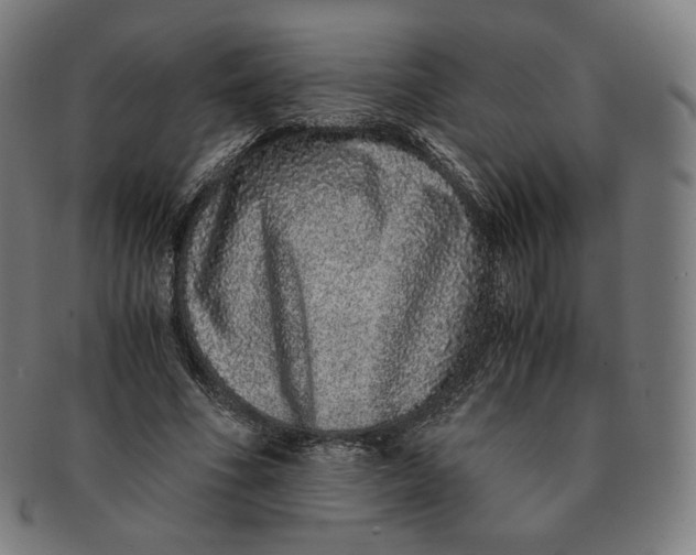 X0000090990586200708241428