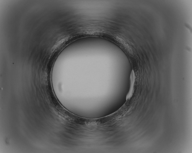 X0000090990587200708241428