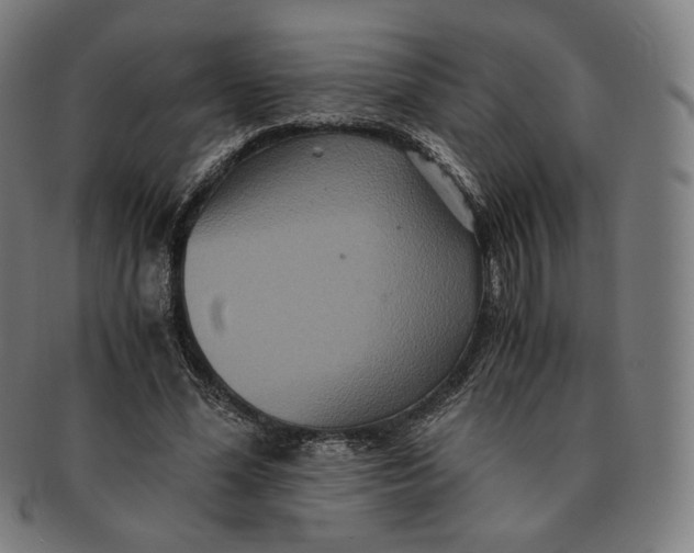 X0000090990588200708241428