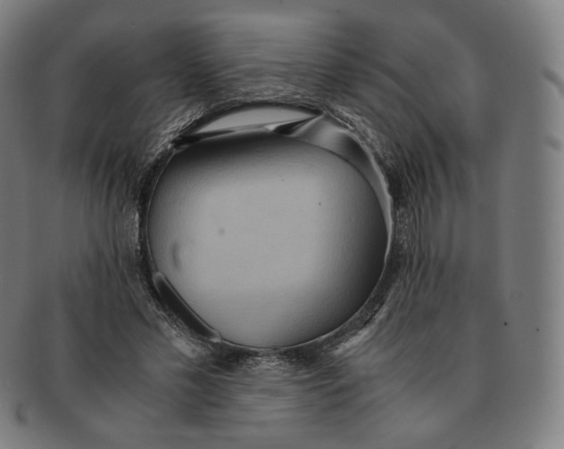 X0000090990589200708241428