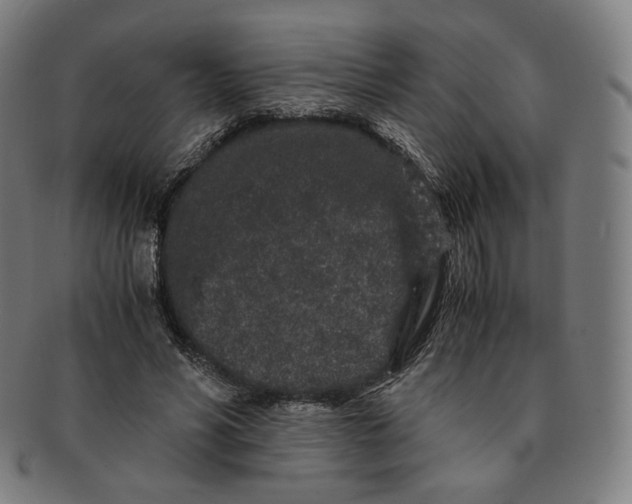 X0000090990590200708241428