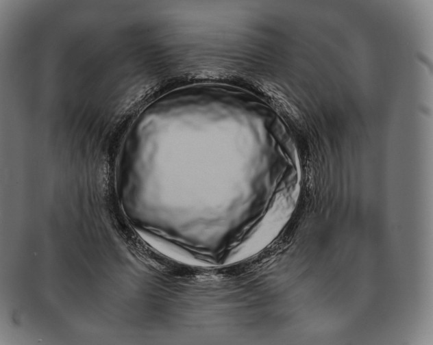 X0000090990591200708241428