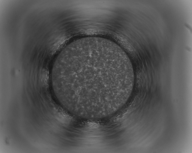 X0000090990592200708241428