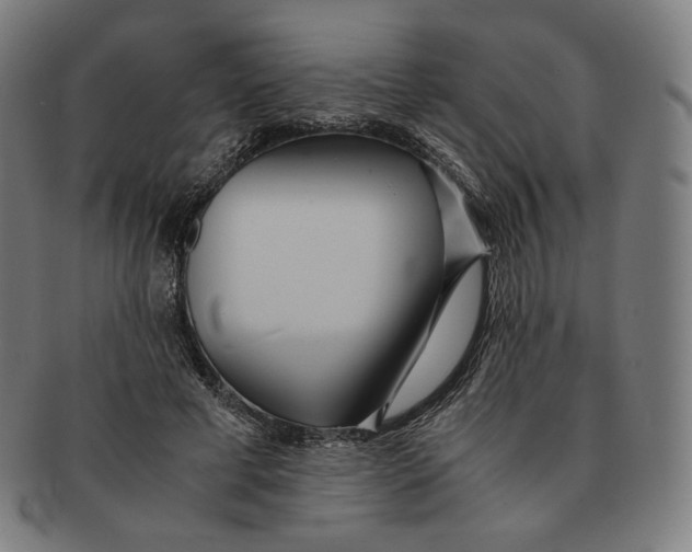 X0000090990593200708241428