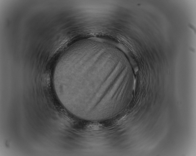 X0000090990595200708241428