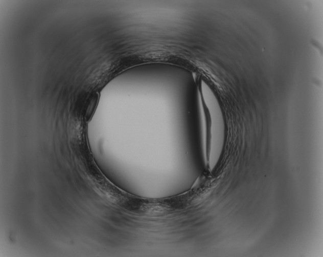 X0000090990597200708241428