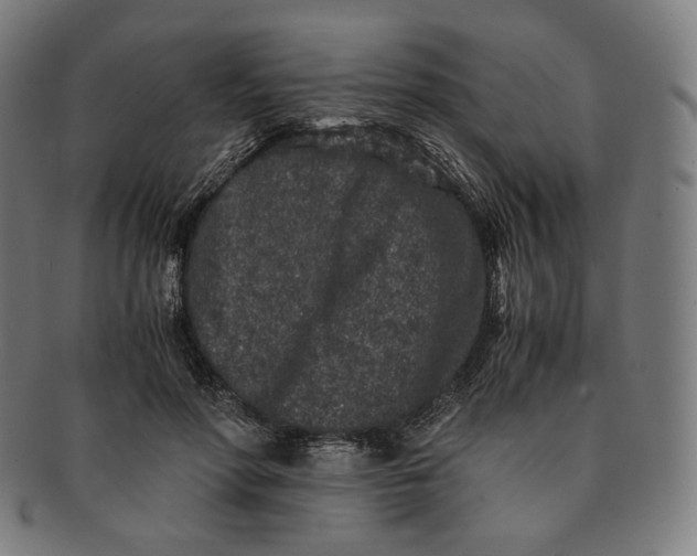 X0000090990598200708241428