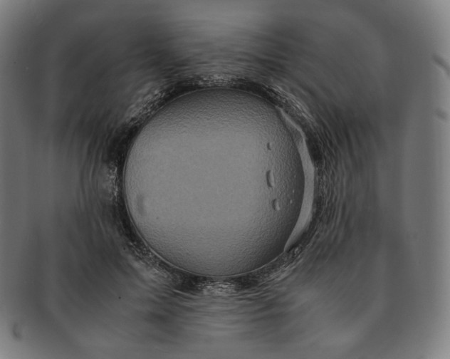 X0000090990599200708241428