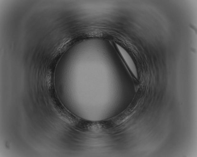 X0000090990600200708241428