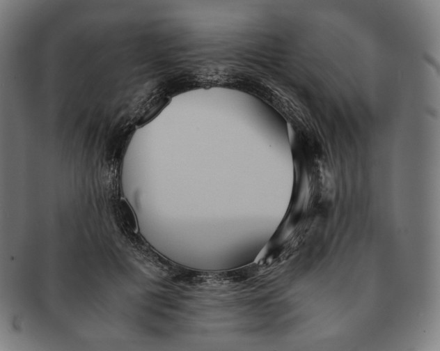 X0000090990601200708241428